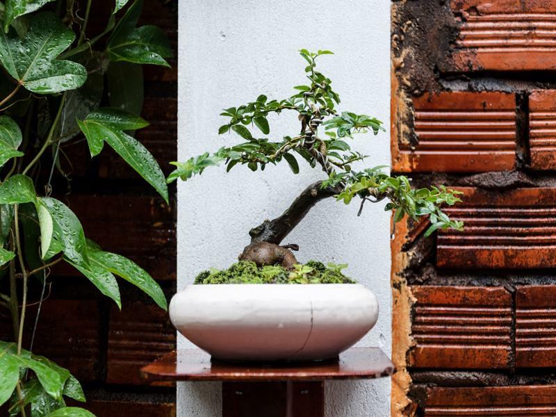 Ngoc Qui Bungalow Phu Quoc Exteriör bild